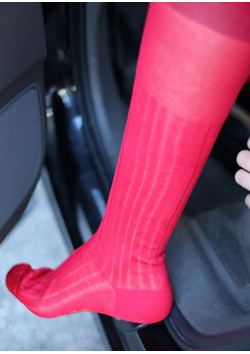 Les chaussettes de cardinal